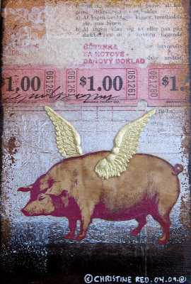 Flying pig
